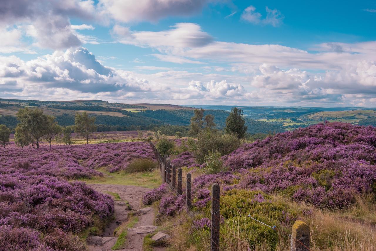 Fern Bank Panzió Great Rowsley Kültér fotó